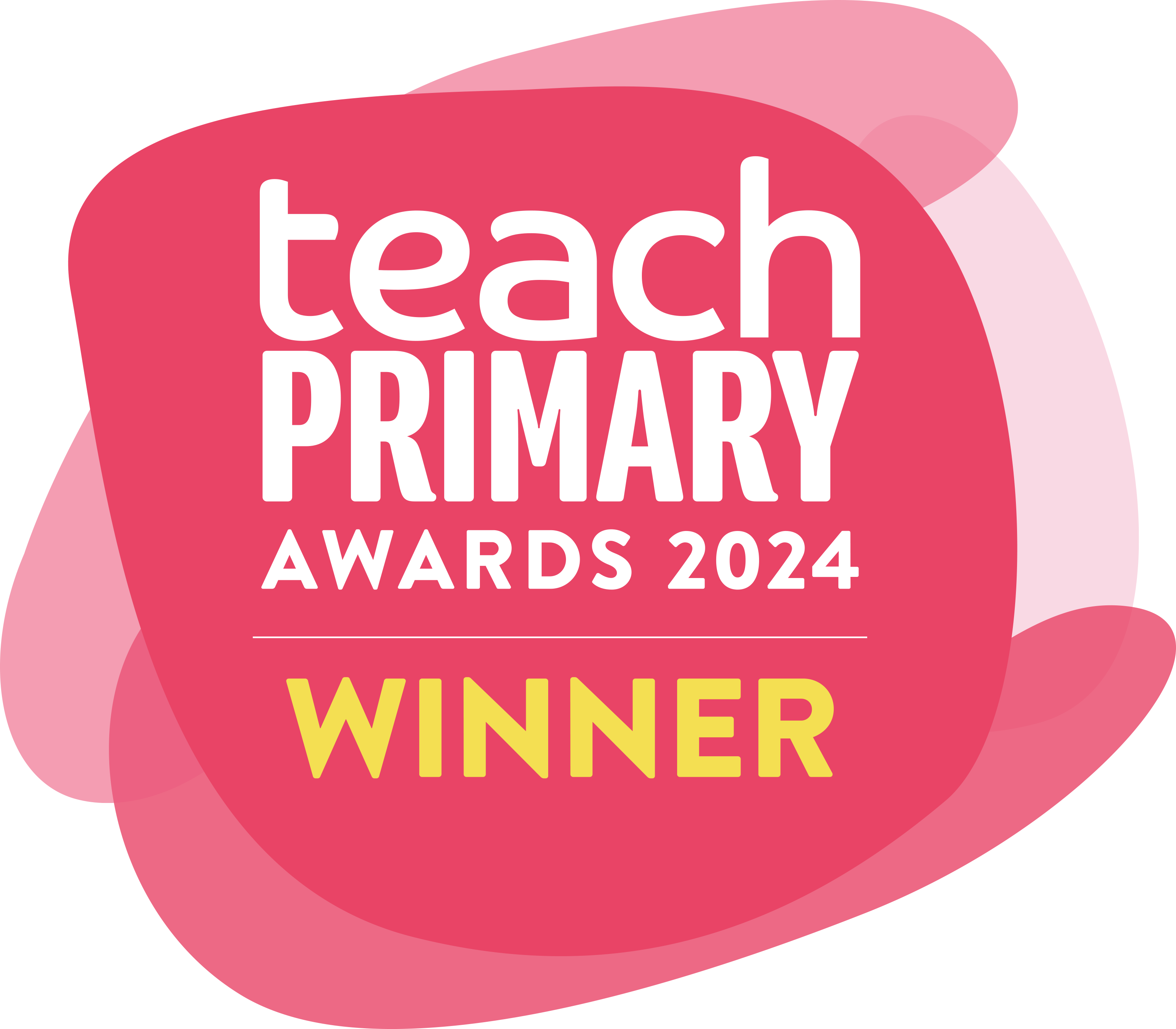 Teach Primary Award 2024 Winner